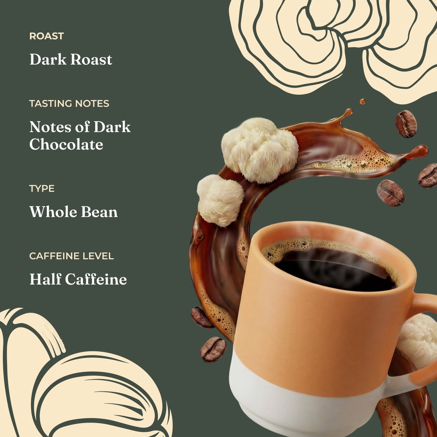 focus-half-caf-whole-bean-coffee-x3 Taste_-_Focus_Half_Caf_Whole_Bean_d1d02c35-db99-498e-ac43-813730db6953.jpg